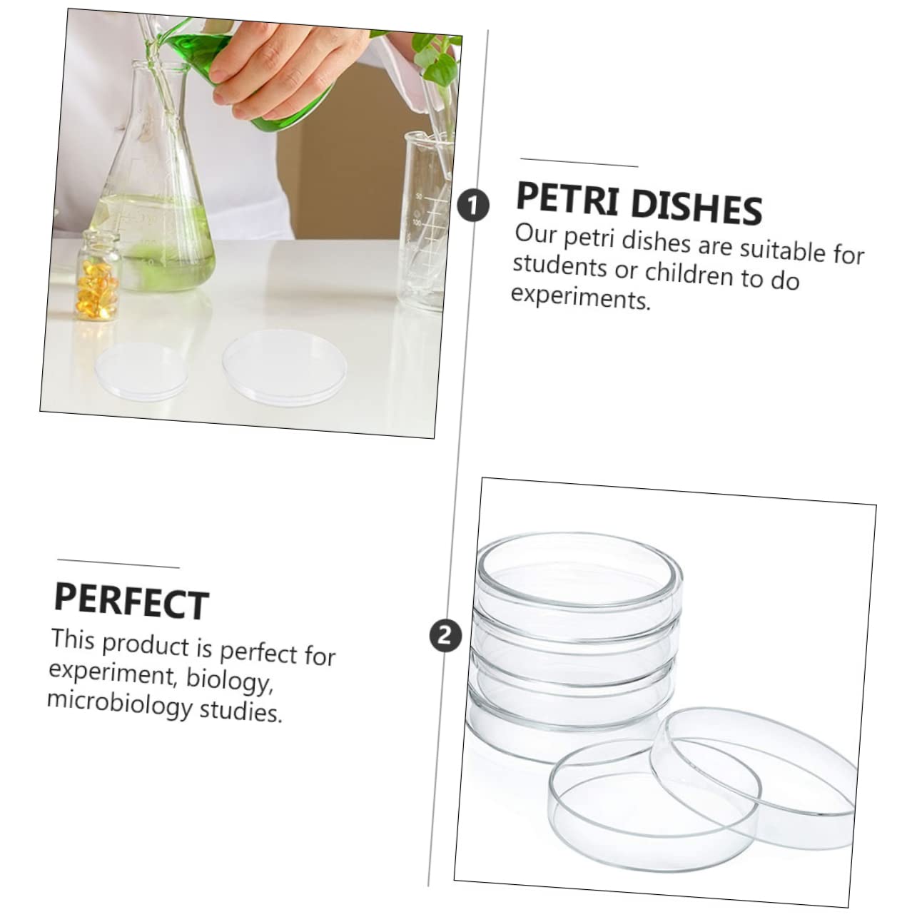 Borosilikat Glas Petrischalen 5 Stück für Schulexperimente | Klarglas Ausführung, Transparentes Design, Geeignet für Biologische Forschung und Laborversuche