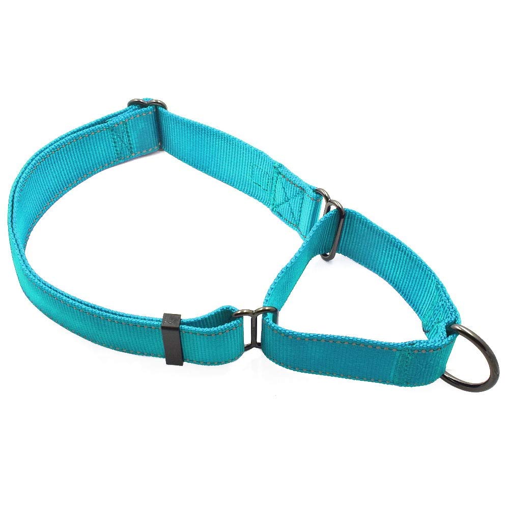 Max and Neo Nylon Extra Large Dog Martingale Collar - We Donate to a Dog Rescue for Every Collar Sold (Teal)