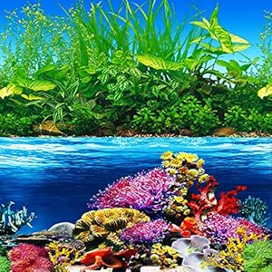 ELEBOX Aquarium Hintergrundbild 50,8 x 121,9 cm