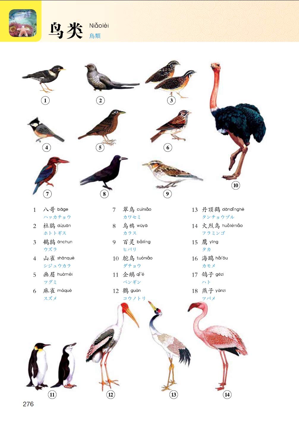 中国語イラスト辞典 呉 月梅 本 通販 Amazon