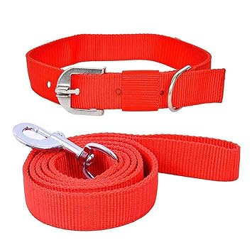 PetCeptual Nylon Dog Neck Collar and Leash Set (Red Color, 1 Inch)