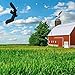 Effaceur pour Oiseaux, Oiseau répulsif Hawk Kite Cerf-Volant Extensible Anti-Oiseaux avec mât télescopique de 7 m pour Ferme à Gazon dans la Cour arrière