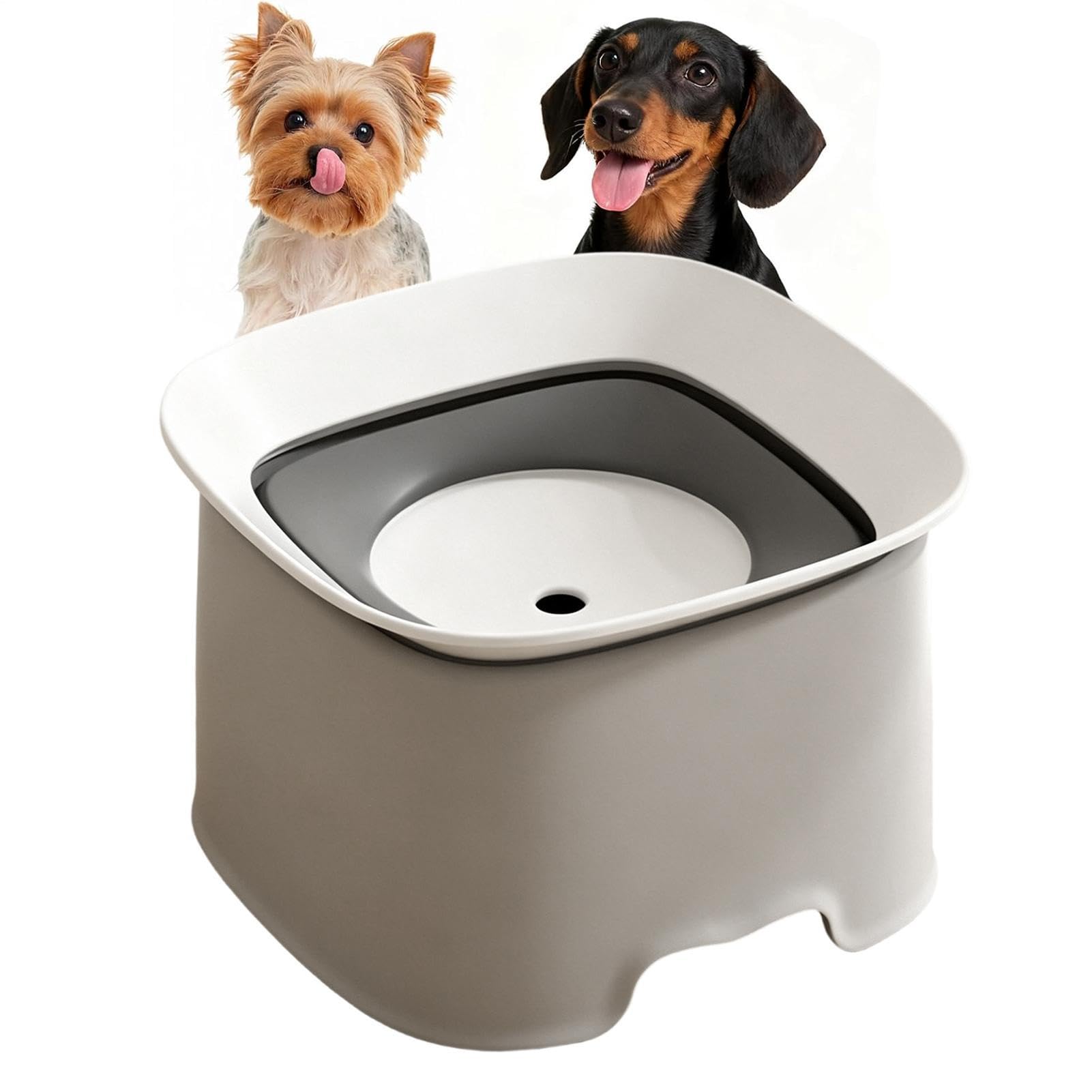 Gamelle d'eau pour chien anti-déversement de qualité supérieure pour maison propre