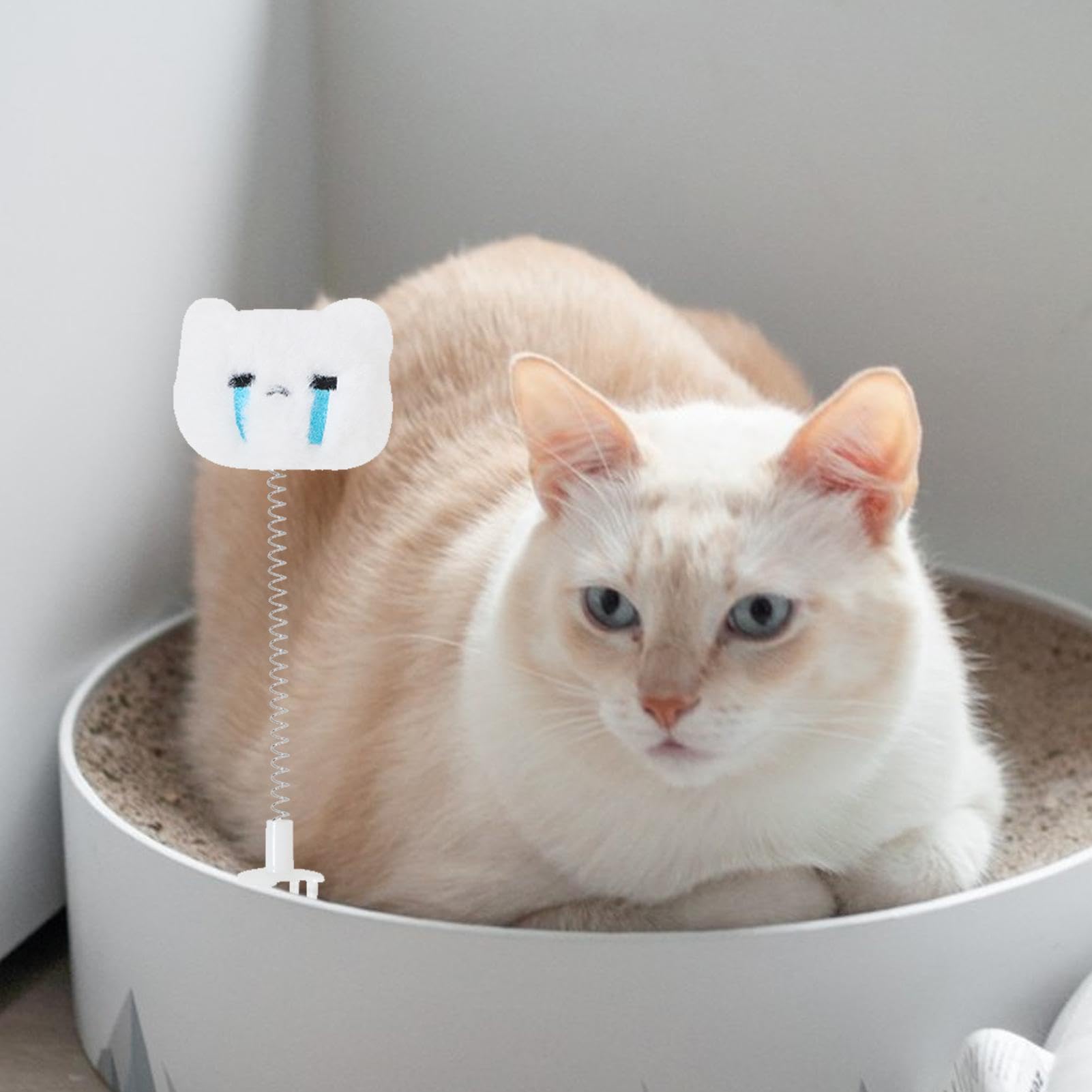 de burlas de gato | Diseño enchufable con cabeza de felpa para gatos, juguete de interior para amigos, familiares, colegas, dueños de gatos | juguete de interior para amigos, familiares, colegas, dueños de gatos
