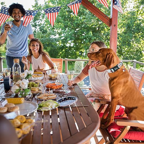 Image of Independence Dog Collar-USA Flag Popsicle Print Pet Collar Adjustable Cute Soft Collars Holiday Comfortable Cotton Puppy Collar Gift for Large Dogs