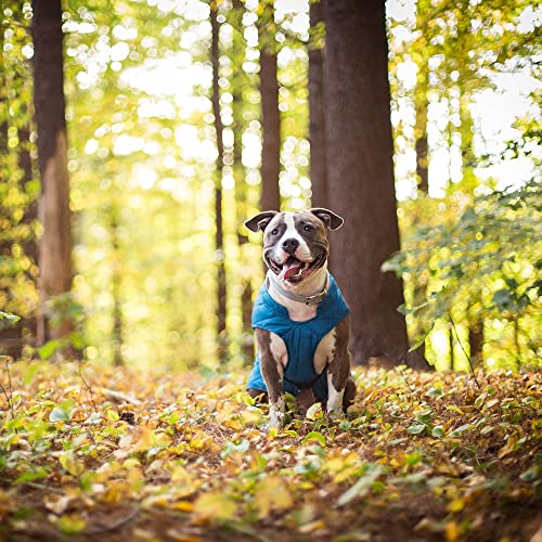 Kurgo Loft Dog Jacket - Reversible Cozy Coat for Outdoor Adventures - Water Resistant - Athletic Fit - Machine Washable Fabric - Reflective Dog Gear - Large - Coastal Blue - Image 7
