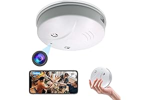 Smoke Detector Motion Detector Spy Camera