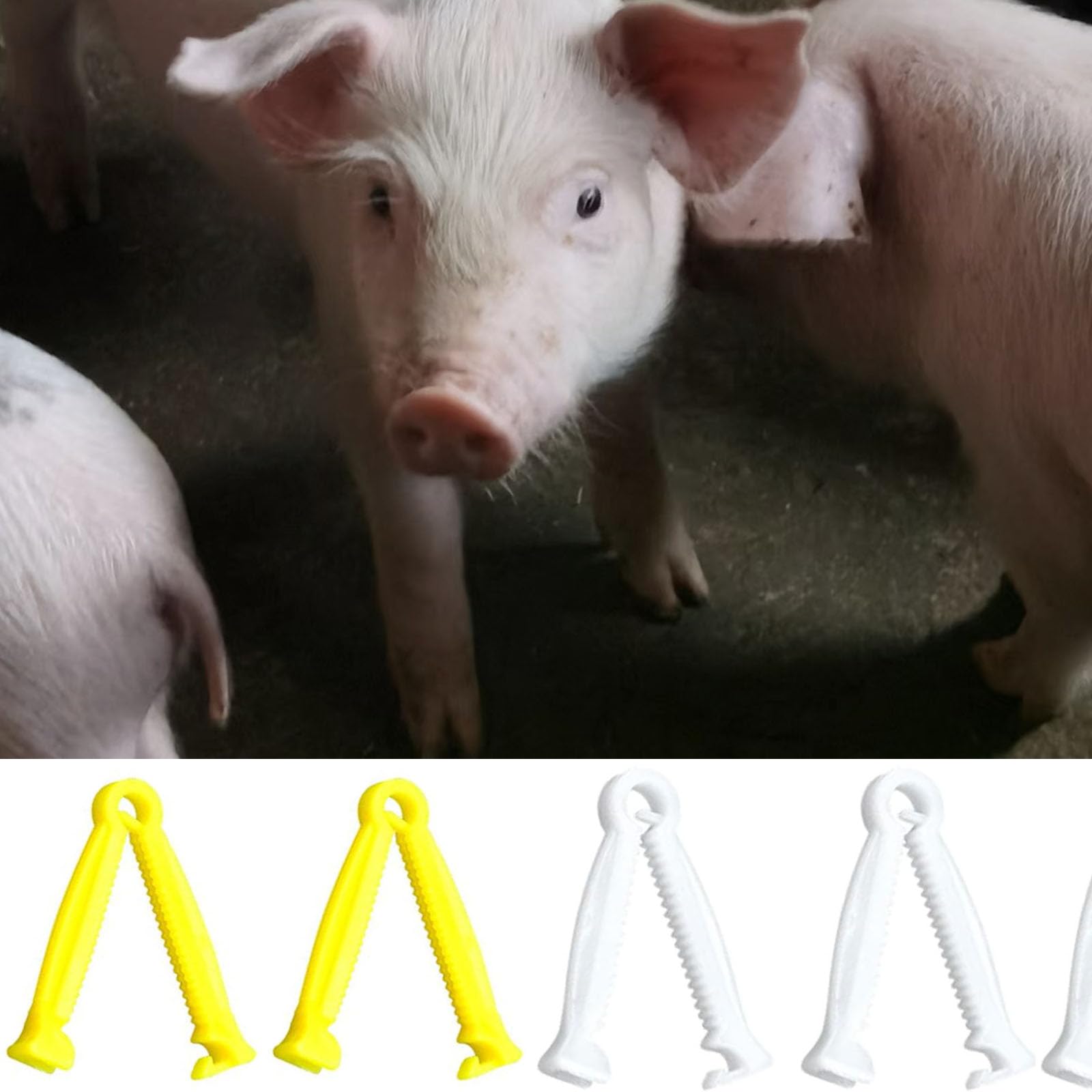 CANGCANG 20 Pièces Pinces Cordon Ombilical,Clip de Cordon Ombilical en Plastique,Cordon Ombilical Pinces Kits de Mise Bas,Plastique jetable pour Animaux de Compagnie Porcinet Agneau Chèvre Chiot