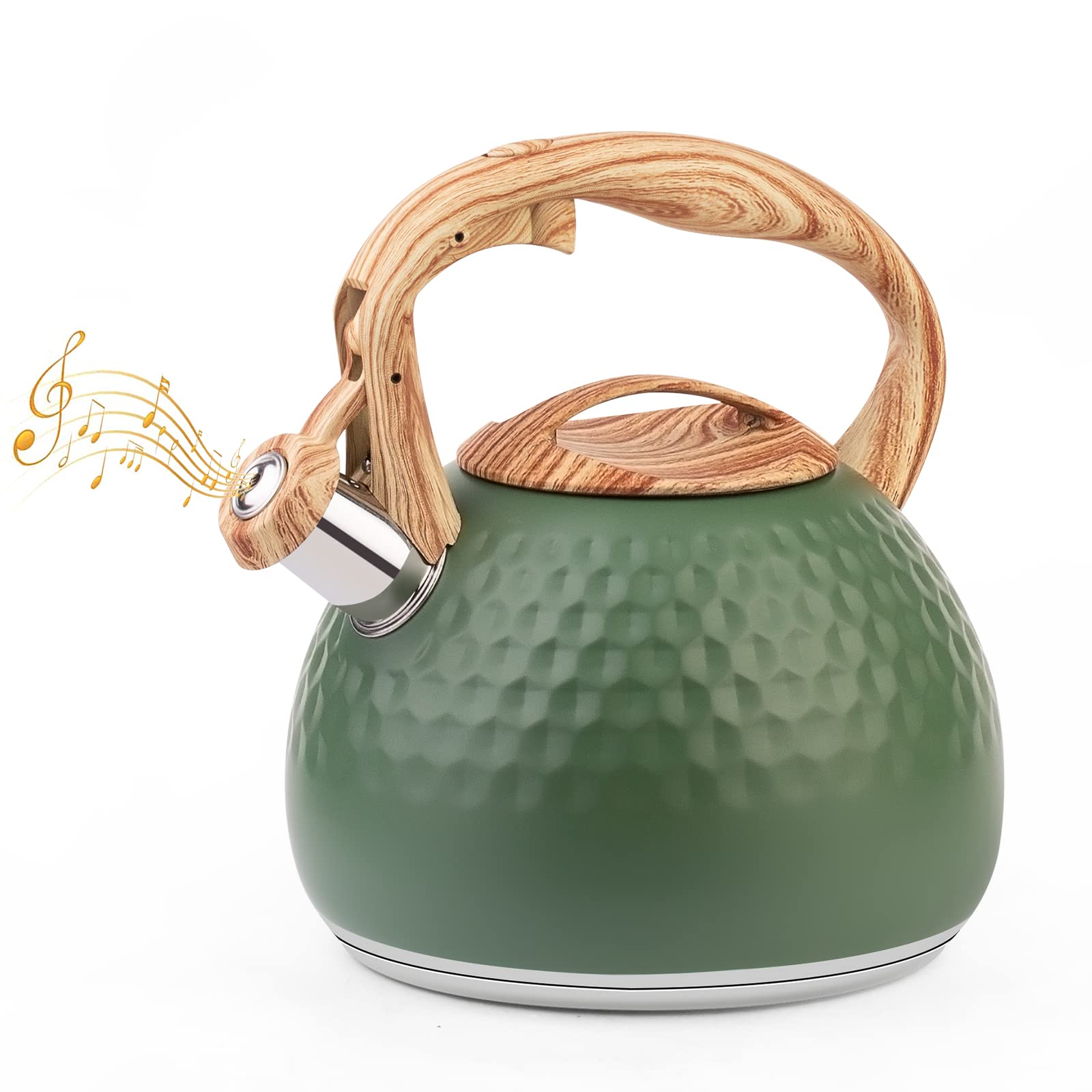 ERWEY Bollitore Moderno da 3 L, a Induzione, in Acciaio Inox per Tutti i Piani Cottura, Con Manico di Colore Legno, per Tè e Caffè, Verde