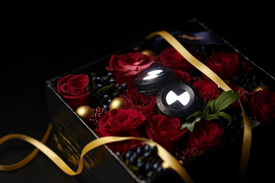 セリック LINDA LE-2WU4056FB 自然太陽光照明 女優ライト セリック LINDA LE-2WU4056FB 自然太陽光照明 女優ライト