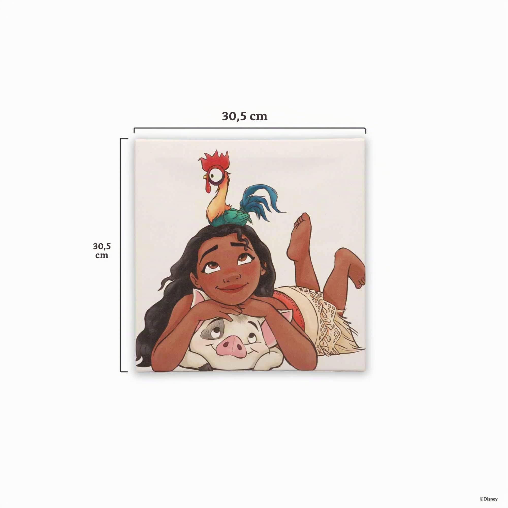 Open Road Brands Disney Moana, Pua und Hei Hei Galerie Leinwand-Wanddekoration, bezaubernde Moana-Wandkunst für Kinderzimmer oder Spielzimmer