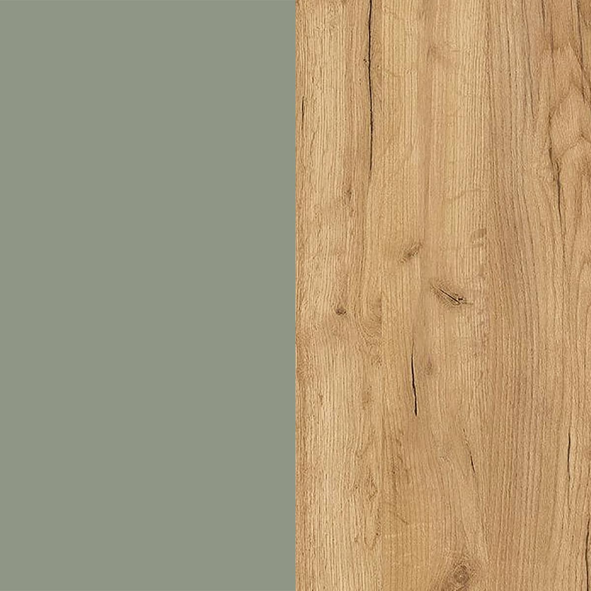 Germania Armario Zapatero 1319-629 GW-Ameca, en Verde Pardo/Roble navarra, con amortiguación en Las Puertas, 83 x 99 x 22 cm (Ancho x Alto x Profundidad)