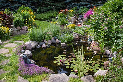 Aquascape 85009 Epdm 45 Mil Rubber Liner For Pond, Waterfall And Water Features, Pro Grade, Black #TOP4