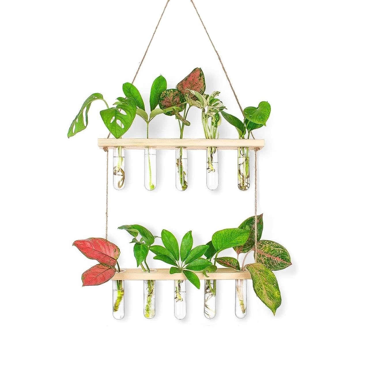 ecofynd 2-Tier Wall Hanging Test Tube Planter with Wooden Holder, Air Planter Glass Vase Holder with 10 Test Tube, Home Decor Hydroponic Plant Stand for Living Room, Office (TTP007) (B0CJ39PV9L) Amazon Price History, Amazon Price Tracker