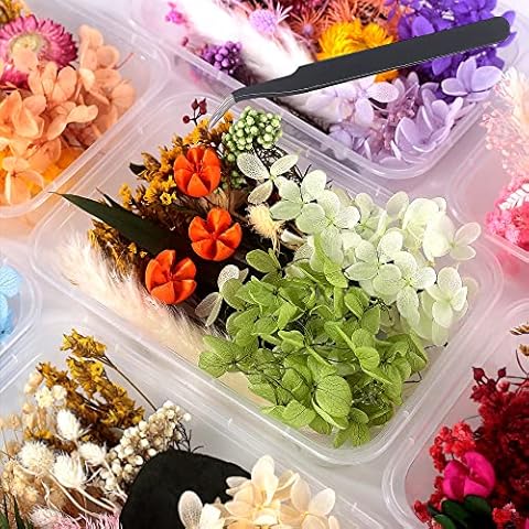 Morld Dried Flowers Set for Resin - Dried Flower, Pressed Flowers, Transparent Butterfly Stickers for Resin Mold, Scrapbooking, Jewelry Making, DIY Art Crafts (Green) Cover
