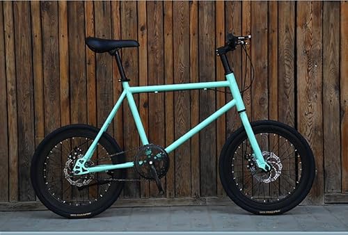 TVTKE]20C`y [hTCNO ^ Th\ BXNu[LAu[Lx h^C Yf|t[ AbvO[h\ȃ\bh^CAaԒjp l qp ʋ ʊw X菉S jp (΂ƍ)