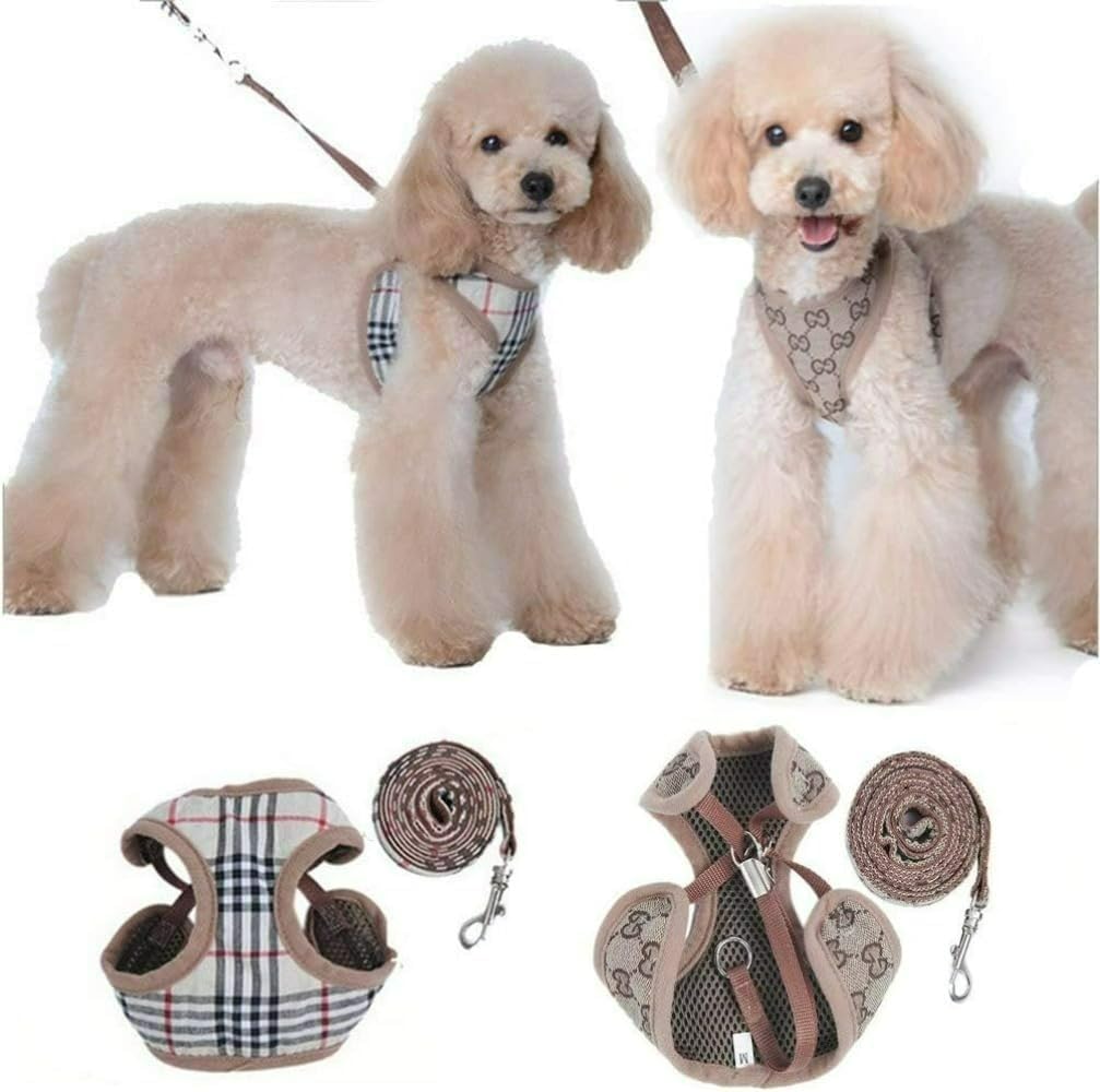 Pettorina Cane Taglia Piccola Con Imbottitura Morbida | Rete Ventilazione | Per Corsa E Training - Foto 6