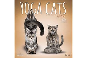 Browntrout, Yoga Cats Collection 2024 Wall Calendar