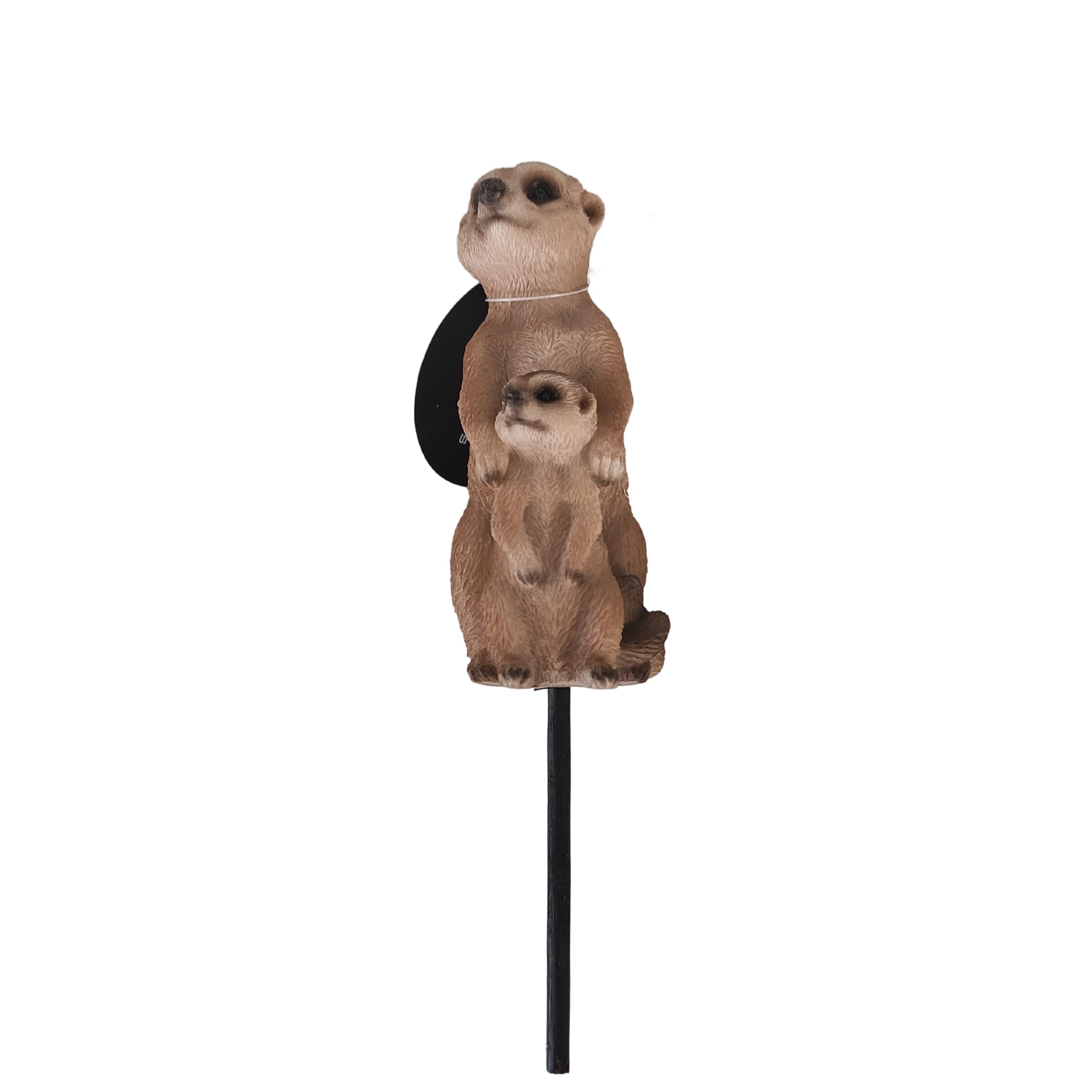 Vivid Arts - Meerkat & Baby - PLP-154