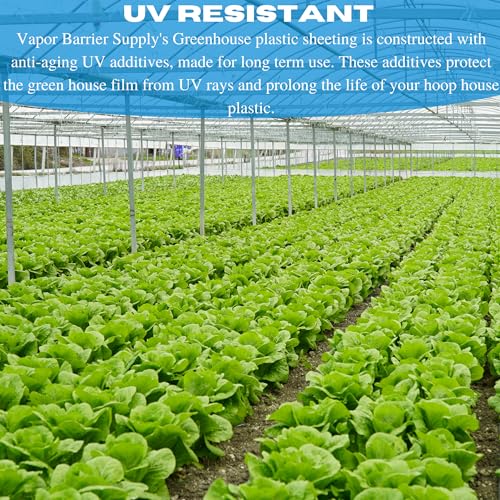 Vapor Barrier Supply - String Reinforced 4 Year UV Resistant 10 mil Clear Greenhouse Plastic Sheeting - 4 Year UV Resistant Polyethylene Greenhouse Film, Hoop House Green House Cover (24' x 25')