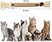 Redreo Katzenminze Sticks, 3 Stück Katzen Kauhölzer Sticks für Katzen Zahnpflege & Gegen Mundgeruch Natürlich Sicher Katzensticks Kausticks