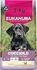 EUKANUBA Cibo secco per Cuccioli con pollo fresco per razze di taglia grande - Alimento secco premium per Cani giovani, 3 kg