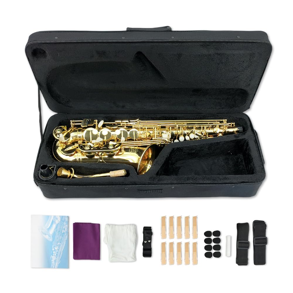 Sassofono contralto E Flat per adulti studenti Sax Mib Alto Kit completo con custodia per sax per il trasporto Bocchino cinghie ance sassofono kit per principianti