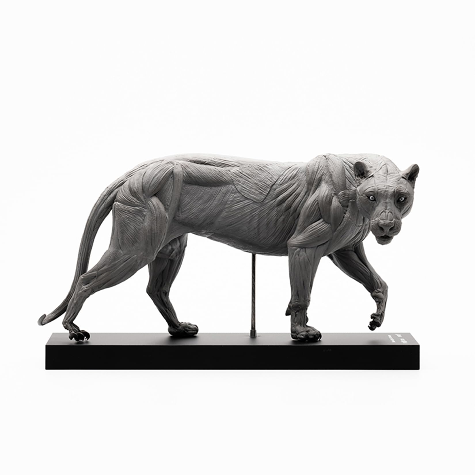 Amazon.co.jp: BACALYSO | EVO 1/10 サイズ トラ 虎 フィギュア 22.5cm