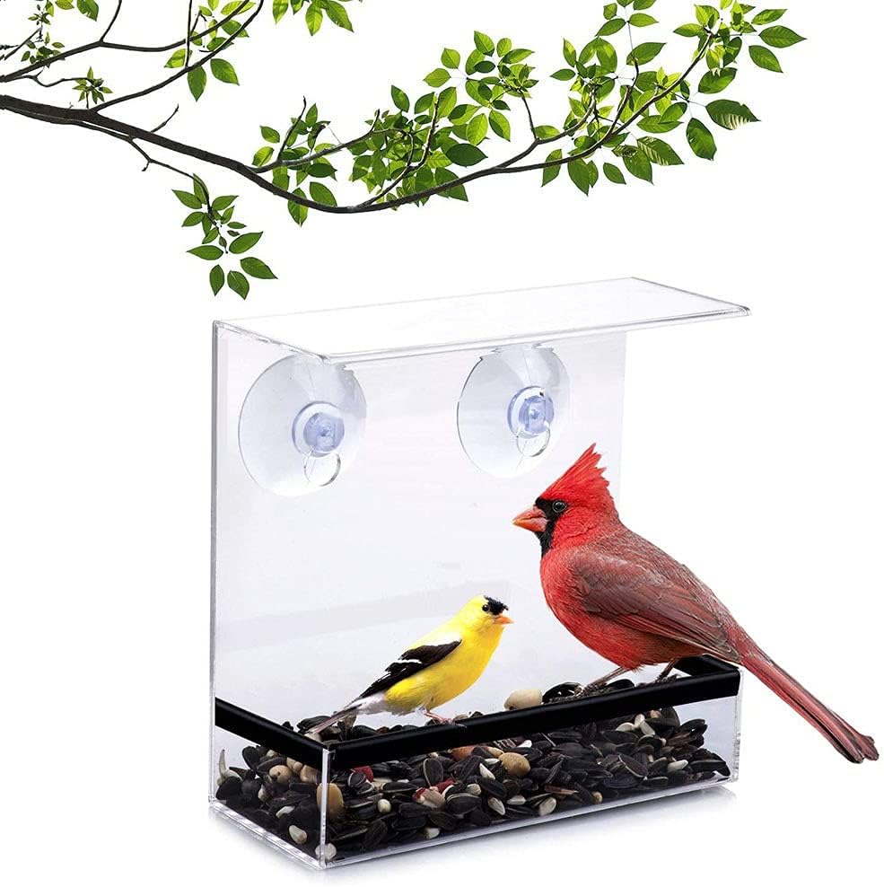 Clear Glass Window Viewing Bird Feeder Hotel Table Peanut Hanging Suction Alimentador Adsorption House Type Bird Feeder