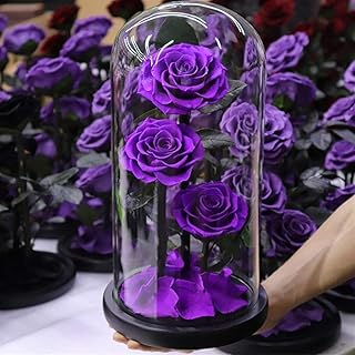 Rosa eterna preservada en cúpula de cristal, caja de regalo de flores reales para mujer, día de San Valentín, día de la madre, Navidad, boda, opción de color morado
