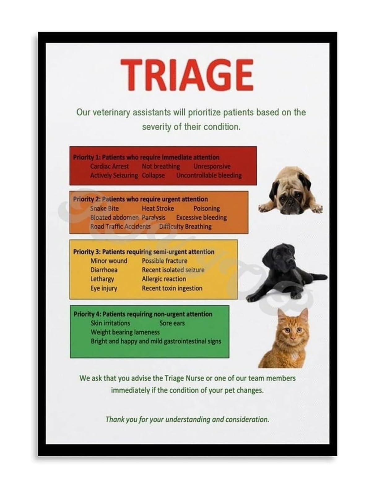 QMKADFQXF Understanding Pet Emergencies Guide Chart First Aid Response Educational Poster for Home or Vet Office Decor(Framed,12x18inch(30x45cm))