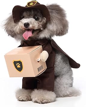 Pet Dog Cat Halloween Costume