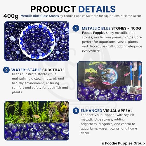 Image of Foodie Puppies Flat Glass Clear Stone (400gm, Metallic Blue) (2cm - 2.5cm) for Aquariums, Fireplace, Firepit Glass for Indoor and Outdoor, Vase Filler, Hydroponics Plants, Home Decor and DIY Craft