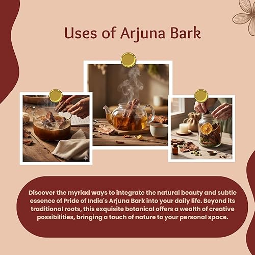 Vista 5 de Pride of India - Cajas de té y hierbas orgánicas de India