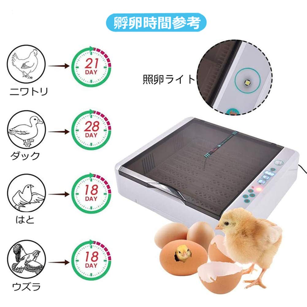 Amazon | 【温度/湿度デジタル表示】 自動孵卵器 36個卵入 Champion