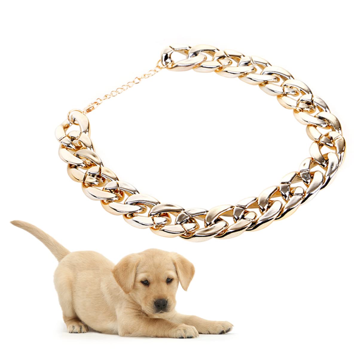 BESPORTBLE Fashion Pet Necklace Chain Lightweight Metal Dog Gold Chain Ideal for Cat Small Dog and