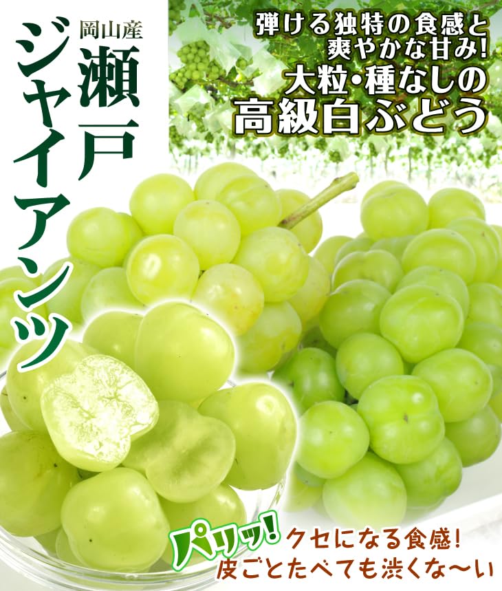 Amazon.co.jp: ぶどう 2房 瀬戸ジャイアンツ 岡山産 約500g×2房 食品