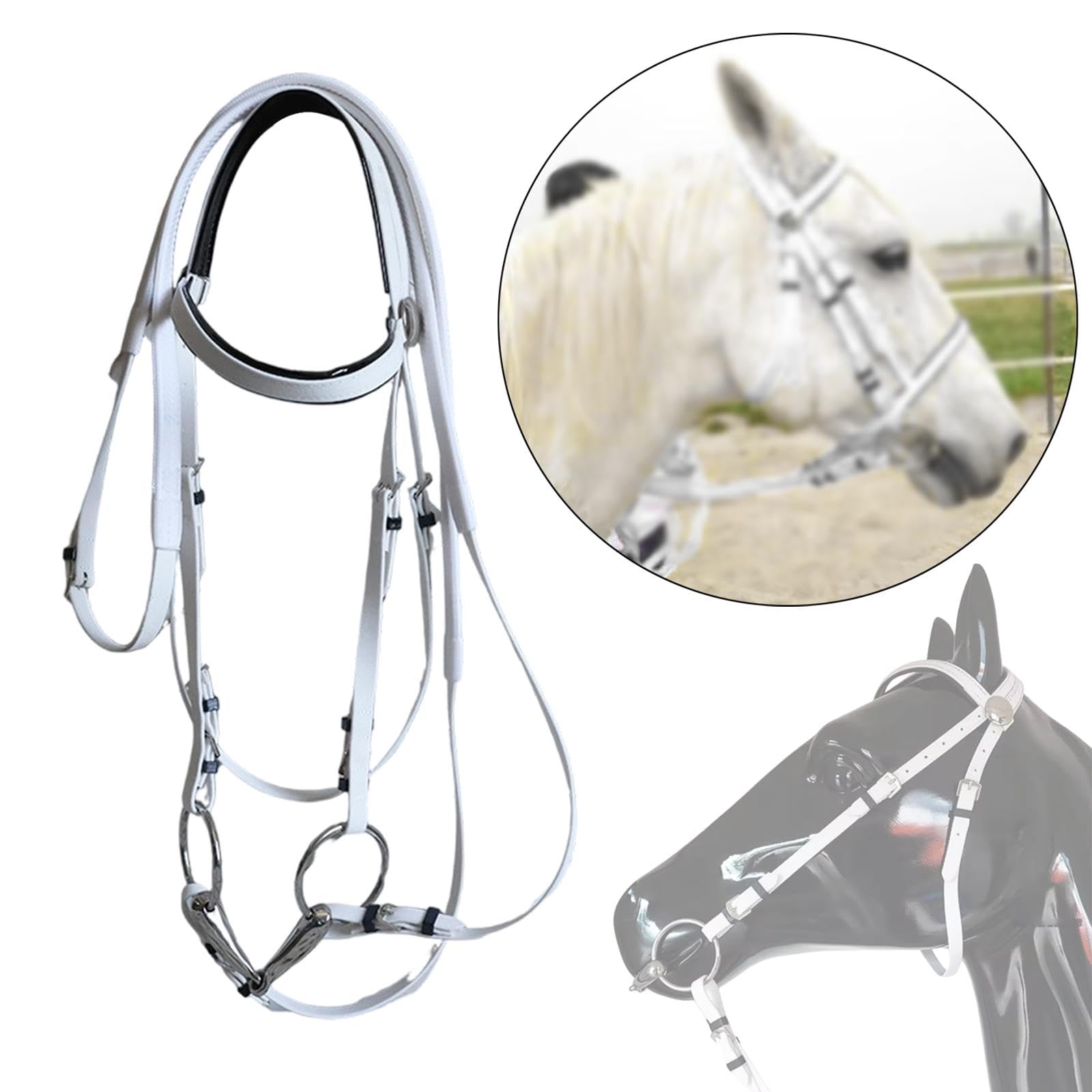 perfk Brida de Caballo con rienda de Acero Inoxidable, de Anilla, arnés Ecuestre, Cabestro de Cuerda para Montar, para clásica de Club