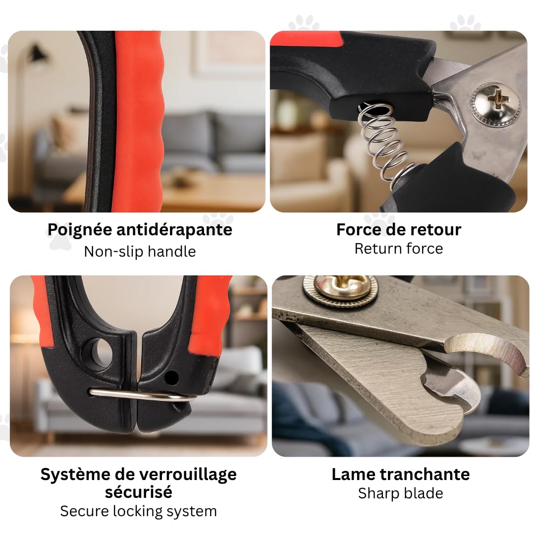 Ciseaux Professionnels pour Ongles de Chiens et Chats – Précision et Sécurité pour le Toilettage de Votre Animal (Rouge)