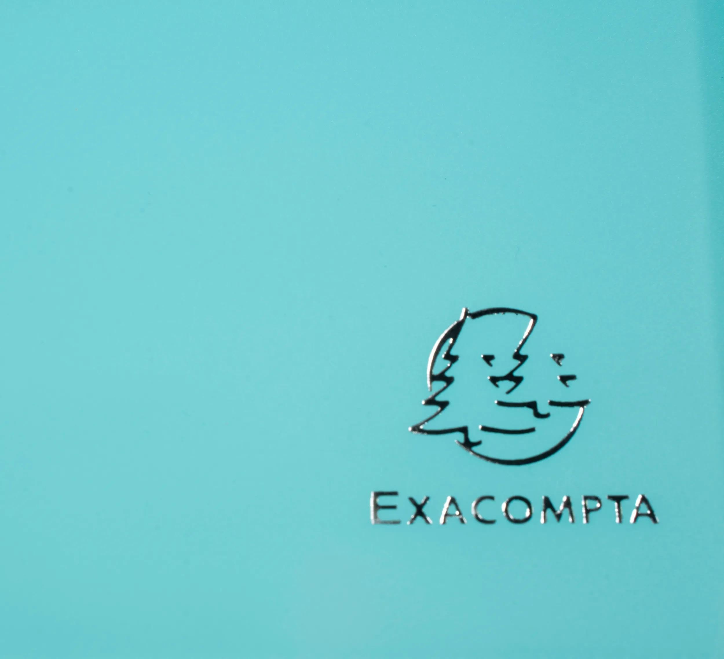 Exacompta 10 Sichtbücher Chromaline Pastel A4 40 Hüllen blau