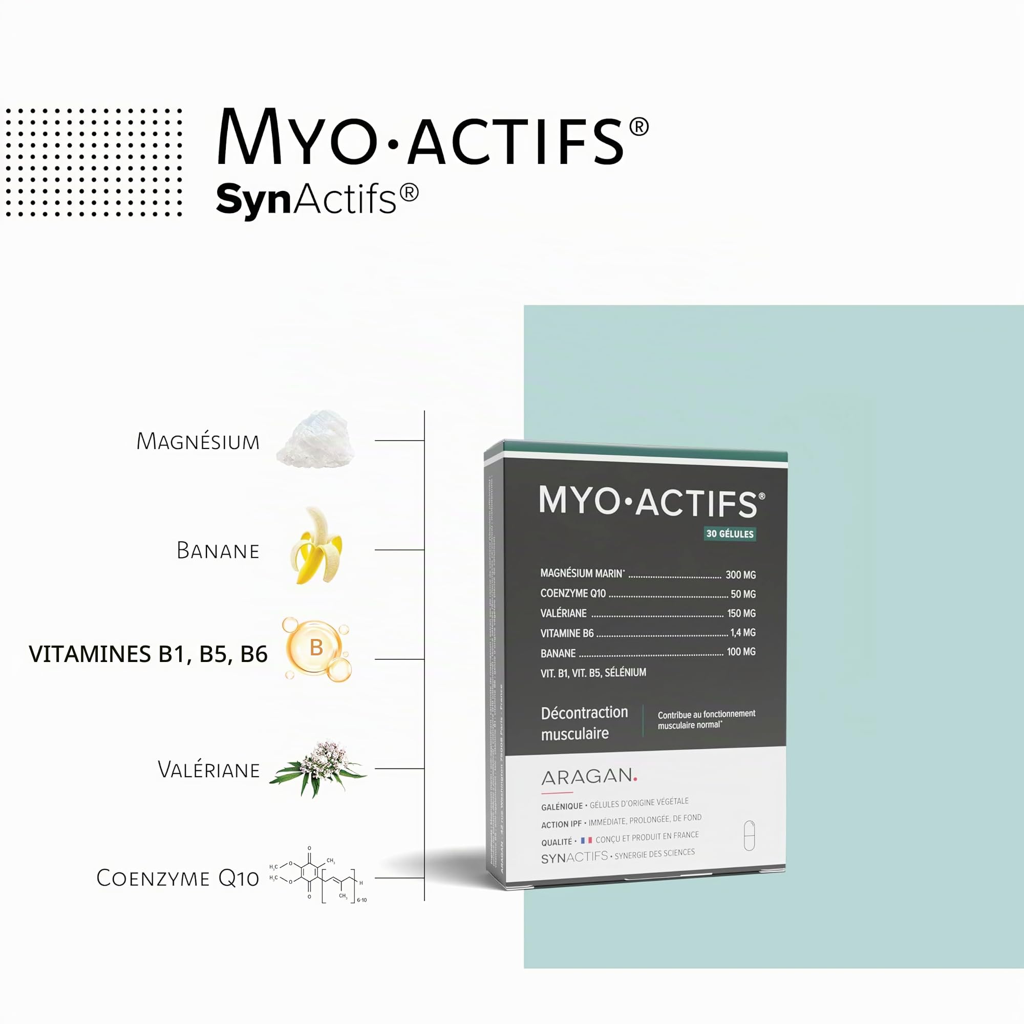 ARAGAN - Synactifs Lot de 2 Myoactifs - Complément Alimentaire Décontraction musculaire - Magnésium Marin, Coenzyme Q10, Valériane, Vitamines - 60 gélules - 1 mois de prise - Fabriqué en France
