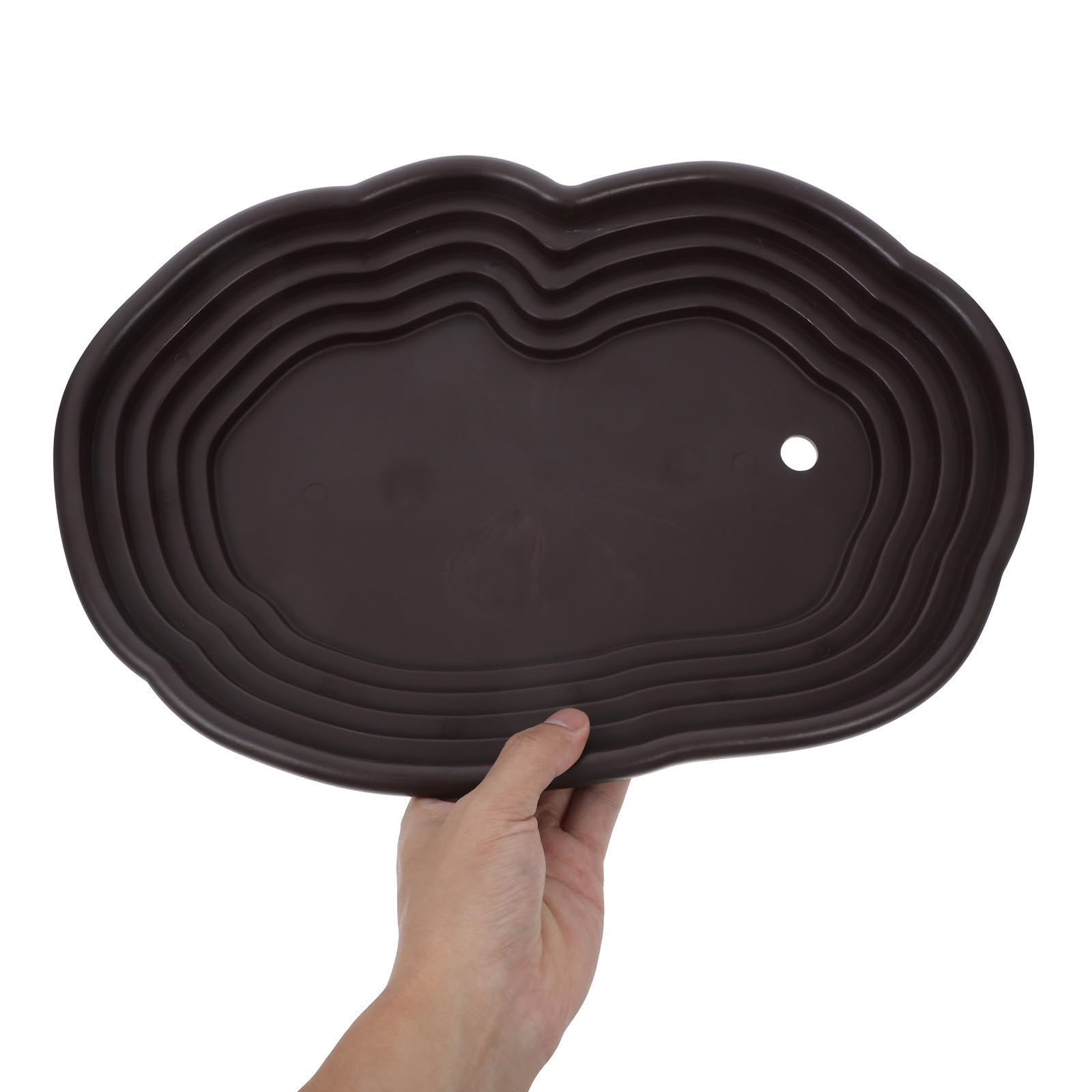 Piscina para Tortugas y Reptiles Plato de Comida y Plataforma para Escalar, Adecuada para Hábitats y Decoración de Acuarios