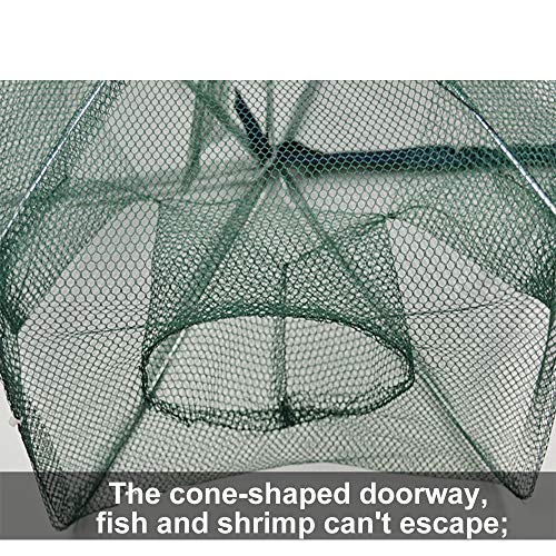 Zffxh 1/2 Pcs Fishing Bait Trap Foldable Fish Minnow Crab Crayfish Crawdad Shrimp Net Cast #TOP2