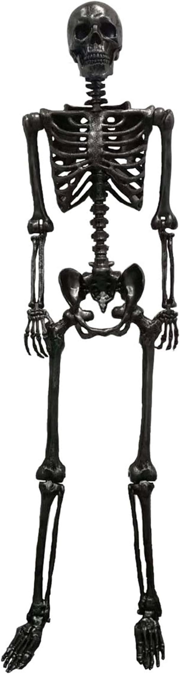 Gun Metal 24" Skeleton Prop Standard
