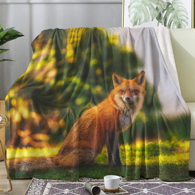 Couverture renard douce pour éliminer le froid sur votre canapé
