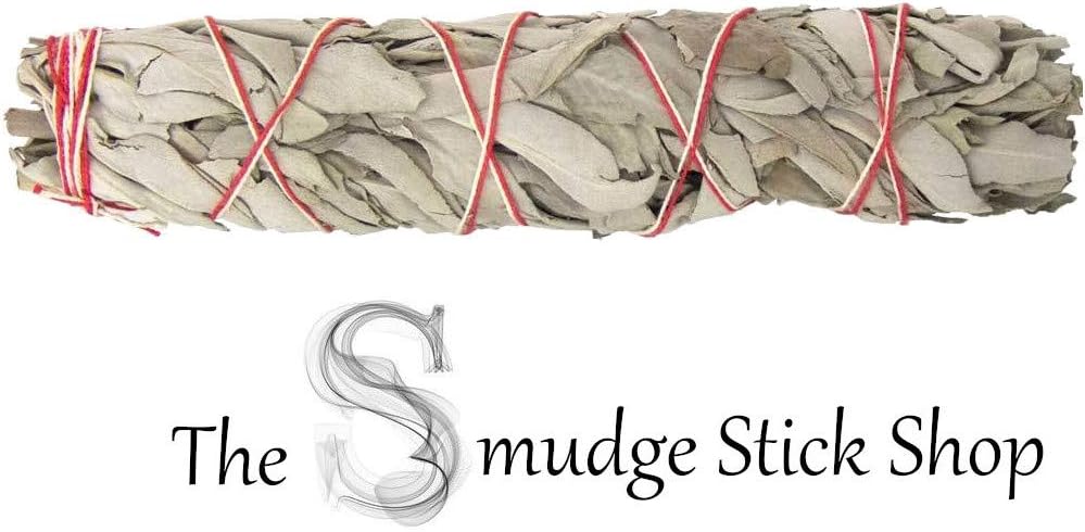 Californian White Sage Smudge Stick (6 inch)- Buffalo Sage- Incense - Purification Stick- Meditation - Mindfulness (Californian White Sage 6 inch (15cm))