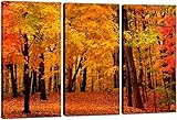 Forest Wall Art Decor - 3 Piece Set, Decorative Framed Autumn Fall Tree Canvas Art Multi Panel Split