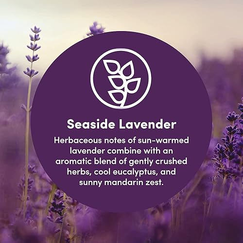 Miniatura 4 de Clean Revolution Hojas de secadora suavizantes de tela, 80 hojas, 160 cargas, lavanda junto al mar, derivado de forma natural, seguras para la piel