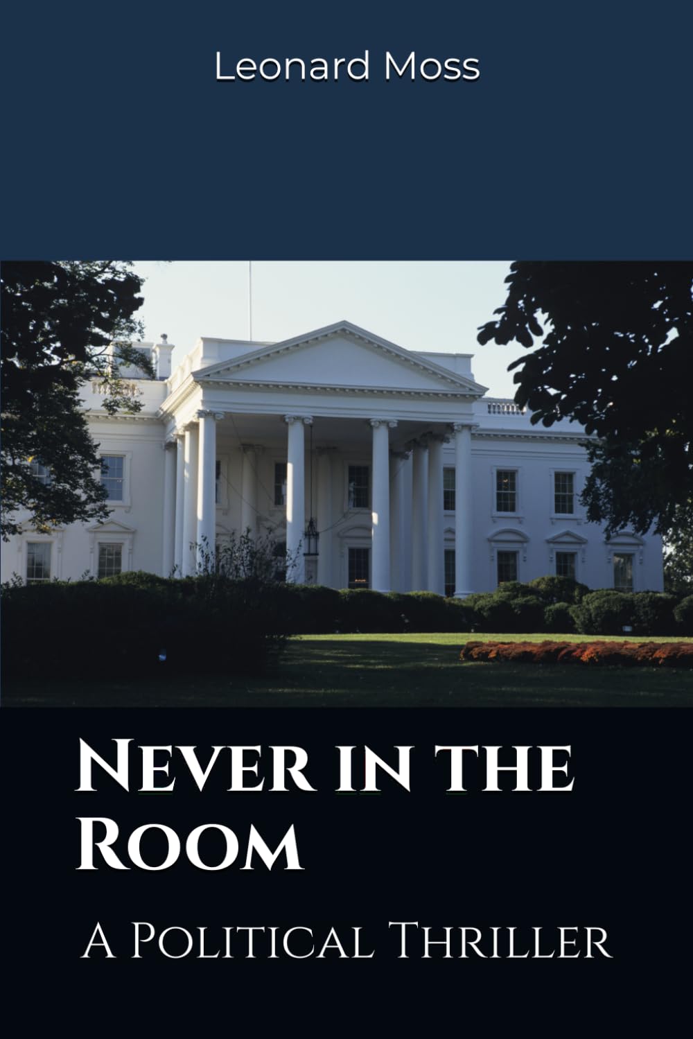 Never in the Room: A Political Thriller