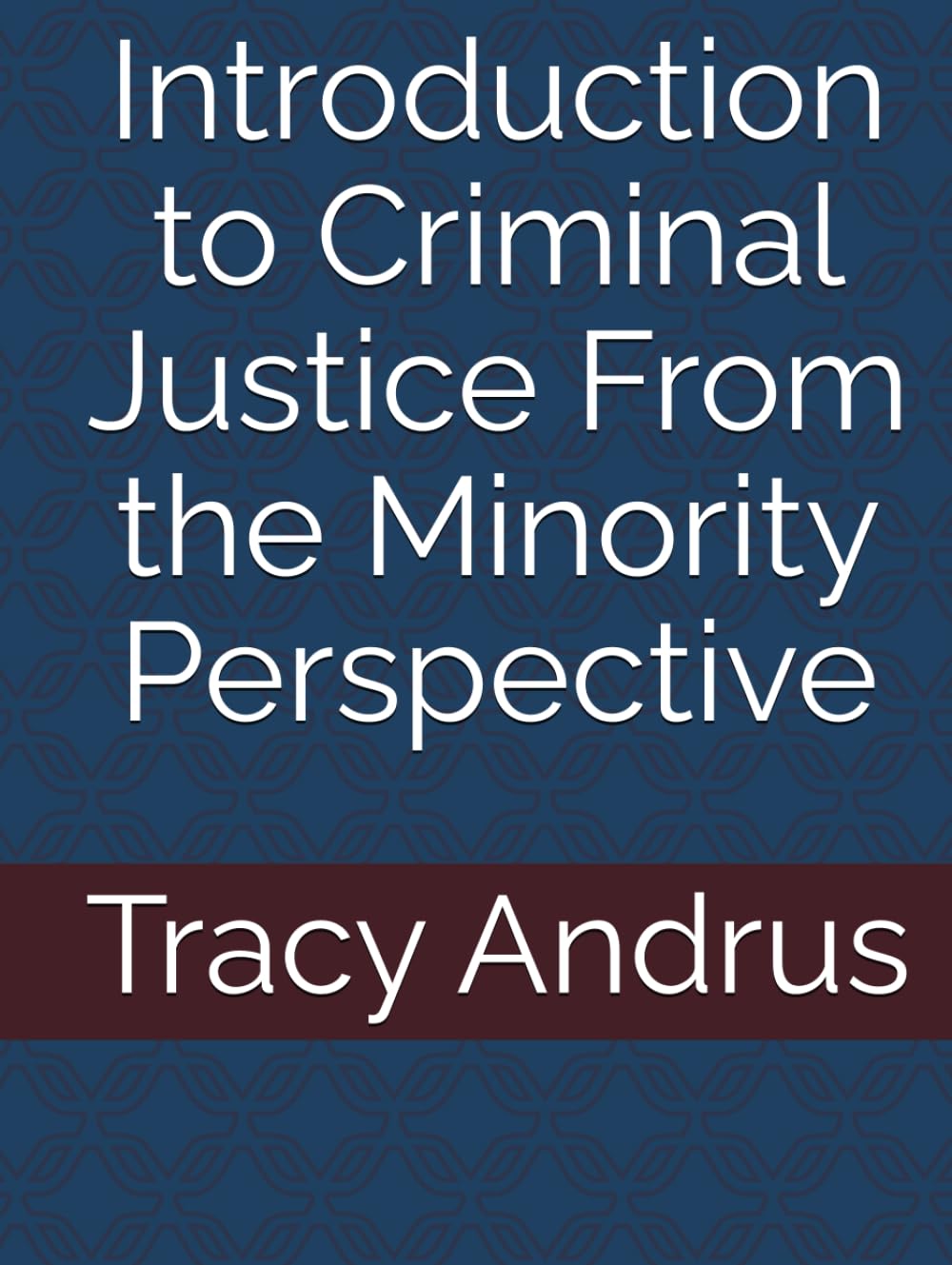 Introduction to Criminal Justice From the Minority Perspective